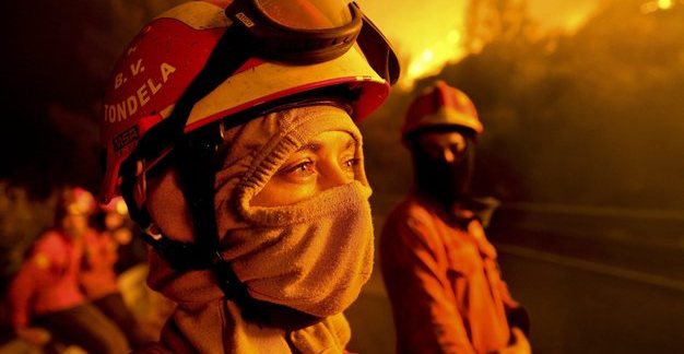 O dispositivo de combate a incêndios florestais vai ser reforçado este ano com mais 250 bombeiros e quatro meios aéreos, em relação ao ano passado, e terá um custo de 85 milhões de euro