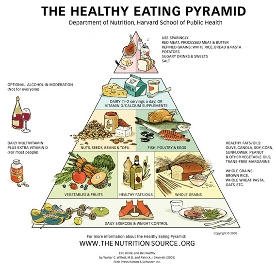 Nova pirâmide alimentar