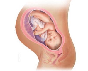 Resultado de imagem para 39 semanas gravidez